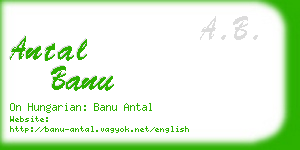 antal banu business card